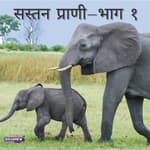 सस्तन प्राणी- भाग १