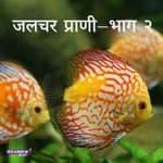 जलचर प्राणी-भाग २