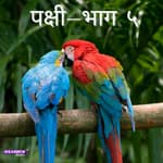 पक्ष्यांच्या भावना- भाग ५