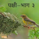 पक्षी- भाग ३