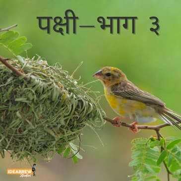 पक्षी- भाग ३
