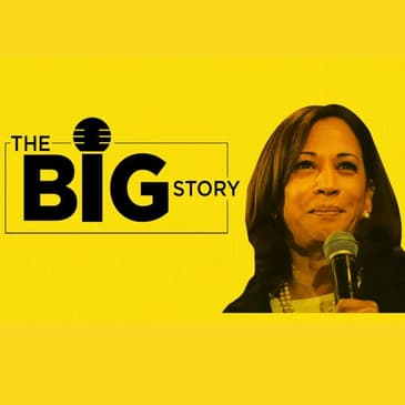 What Kamala Harris as Joe Biden's VP Running Mate Would Mean for Indo-US Ties