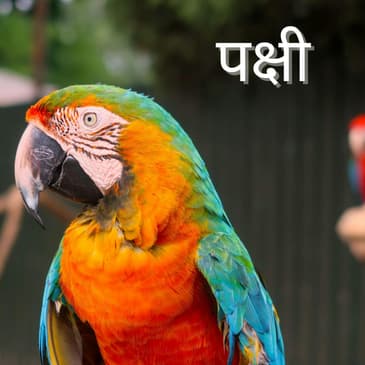 पक्षी - भाग १