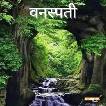 वनस्पती