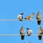 Energage's Dan Kessler on Data and Employer Brands