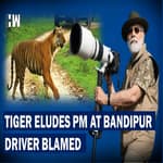 PM Fails To Sight Tiger At Bandipur Forest, Driver Blamed For Not Changing Route | South Connect