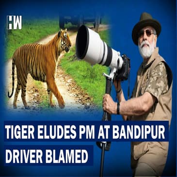 PM Fails To Sight Tiger At Bandipur Forest, Driver Blamed For Not Changing Route | South Connect