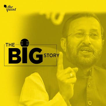 Why Did FridaysForFuture Group Led by School Students Send A Barrage of Emails to Javadekar?