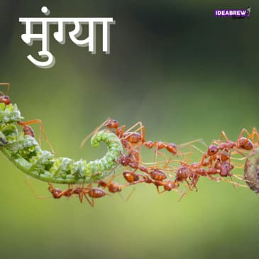 मुंग्या