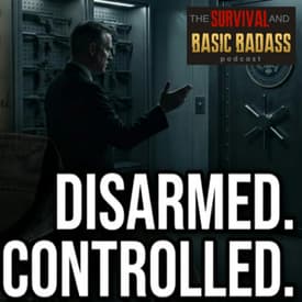 Gun Control or Government Control? The Real Debate