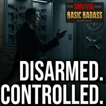 Gun Control or Government Control? The Real Debate