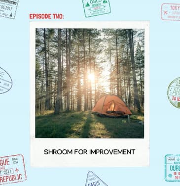 Shroom for Improvement