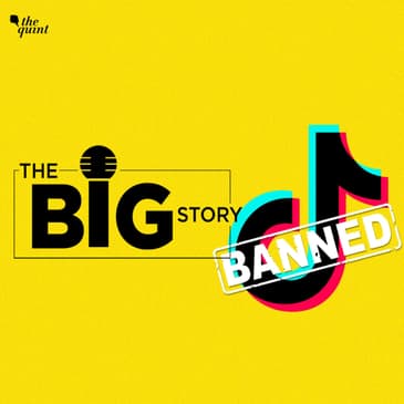 TikTok Ban: A Loss of Expression for Millions of Indian Users