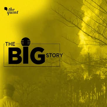 How a 14-Day Gas Leak Wreaked Ecological Havoc in Assam’s Baghjan