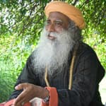 How Do You Get To Know Yourself Fully? - Sadhguru answers at Entreprenuers Organization Meet