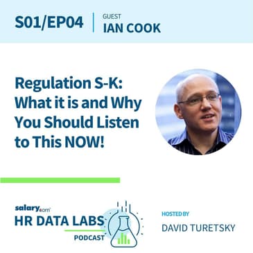 Ian Cook - Regulation S-K: What it is and Why You Should Listen to This NOW!