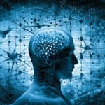 Can Psychological Autopsy Answer Questions After a Suicide?