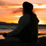 Inner Engineering - Finding the Source of Your Happiness
