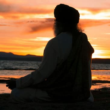 Inner Engineering - Finding the Source of Your Happiness