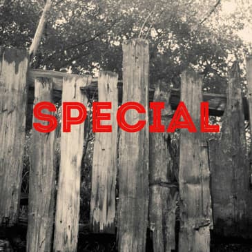 How ‘Special’ Did 370 Make Kashmir and Its People, After All?