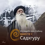 Один шаг к Просветлению каждый день