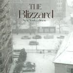 The Blizzard - New York Edition | An Environment Day Special