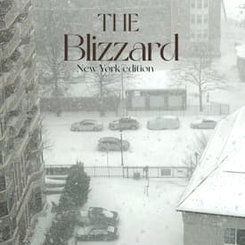The Blizzard - New York Edition | An Environment Day Special