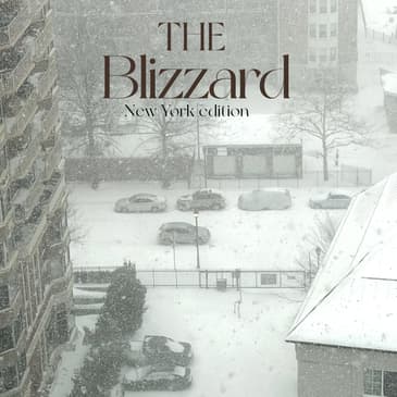 The Blizzard - New York Edition | An Environment Day Special