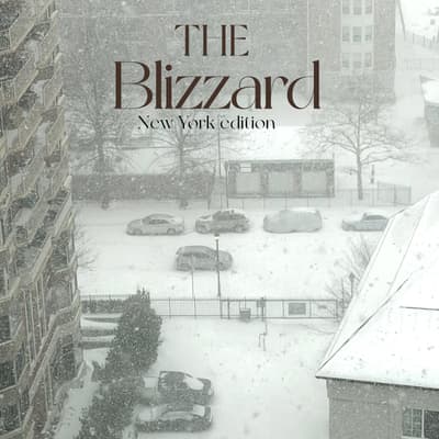 The Blizzard - New York Edition | An Environment Day Special