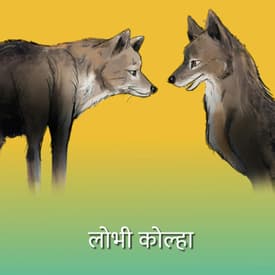 लोभी कोल्हा