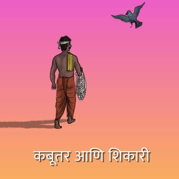 कबूतर आणि शिकारी