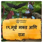 मूर्ख माकड आणि राजा