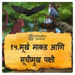 मूर्ख आणि सूचीमुख पक्षी