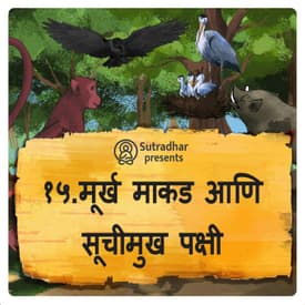 मूर्ख आणि सूचीमुख पक्षी