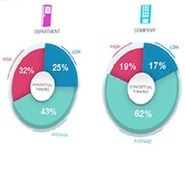 Working Data: Almas Insight CEO Rob Savette