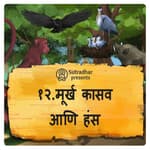 मूर्ख कासव आणि हंस