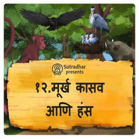 मूर्ख कासव आणि हंस