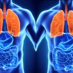 TB, an Untameable Epidemic: Why We Need to Listen to the Patient