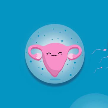 Let’s Talk Ovulation, Your ‘Fertility Window’ and Making Babies