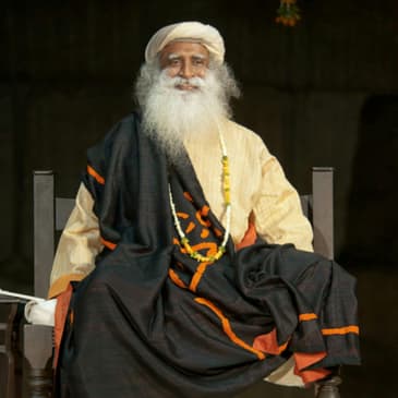 Does Enlightenment Happen Gradually or with a Bang?