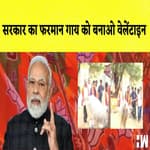Valentines Day पर Modi सरकार का फरमान, गाय के साथ मनाये वैलेंटाइन्स डे