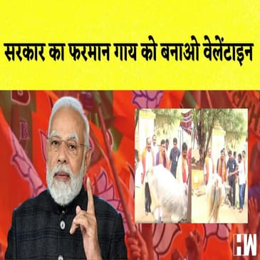 Valentines Day पर Modi सरकार का फरमान, गाय के साथ मनाये वैलेंटाइन्स डे
