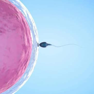 What is Egg Freezing: Arm Yourself Against Infertility, Ladies