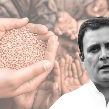 Rahul Gandhi’s NYAY Is Not Only Feasible, It Is Absolutely Crucial