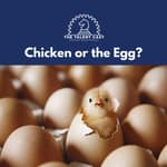 Chicken or the Egg?