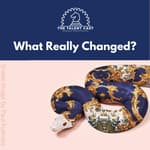 What Really Changed?