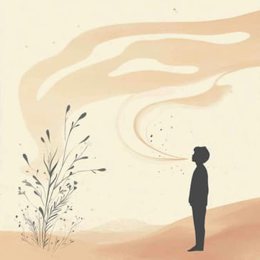 2732: Good Foods for Brain Health - Curing Brain Fog & Migraines Through Your Diet