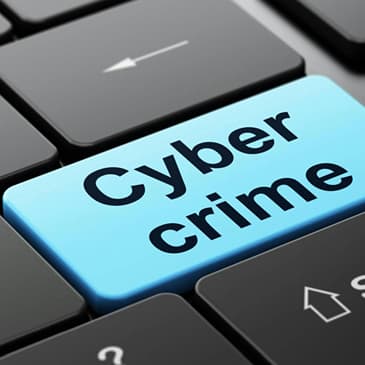 Helping You Protect Your Business From Internet Crimes with: Dylan Evans