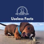 Useless Facts