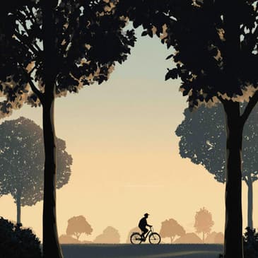 3037: How to Make Cardio Enjoyable by Nia Shanks on Functional Health Benefits and Improved Stamina